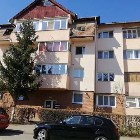 Studio Acasa Sibiu Ngoại thất bức ảnh
